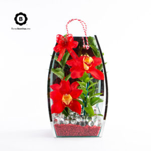 Bolsa de vidrio con 2 Orquídeas Cymbidium