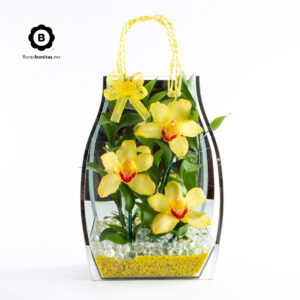 Bolsa de vidrio con 3 Orquídeas Cymbidium