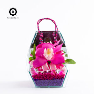 Bolsa de vidrio con una Orquídea Cymbidium
